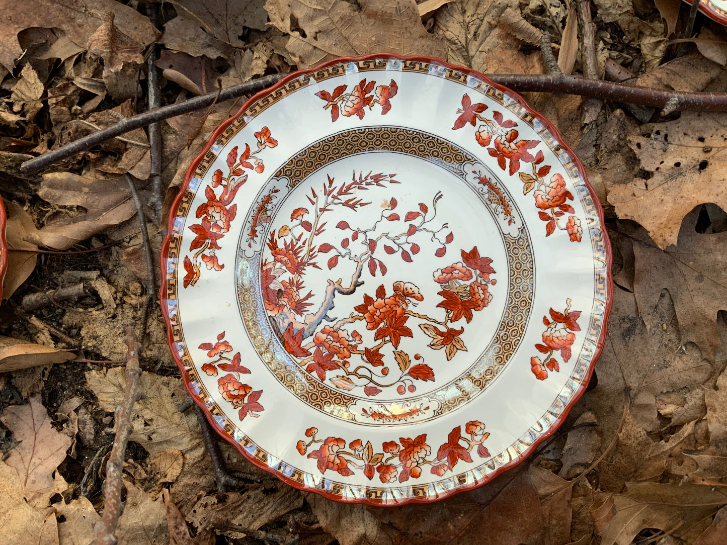 Spode Copeland India Tree Salad Plates (sold as set of 8) # IndiaTree #SpodeCopeland #SaladPlates - DharBazaar